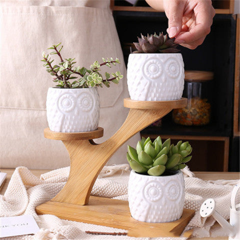 Simple White Creative Succulent Ceramic Owl With Treetop Bamboo Frame My Store