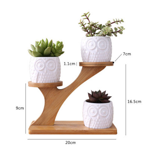 Simple White Creative Succulent Ceramic Owl With Treetop Bamboo Frame My Store