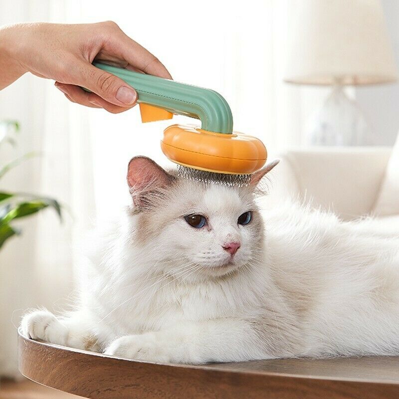 Pet Pumpkin Self-Cleaning Slicker Brush - Grooming Tool for Dogs, Cats, and Small Pets My Store