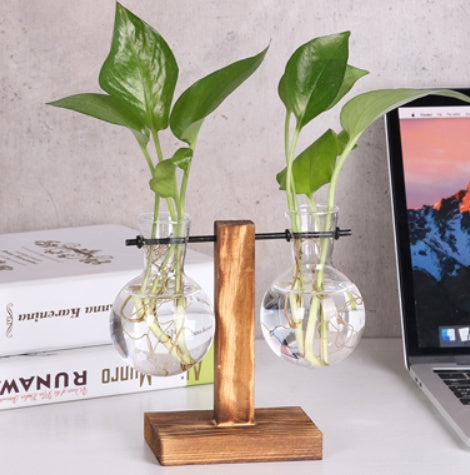 Glass Wood Vase with Wooden Tray – Hydroponic Planter & Pen Holder My Store