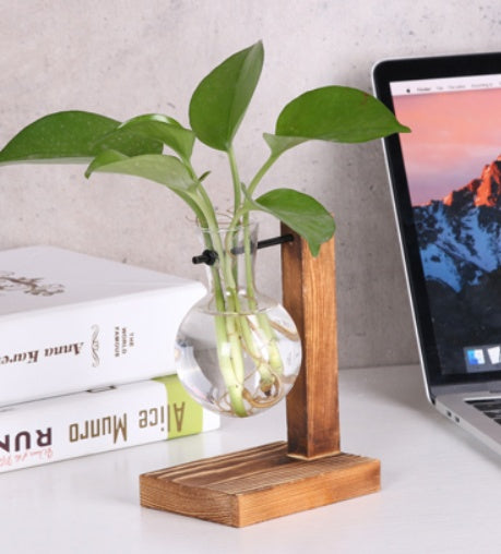 Glass Wood Vase with Wooden Tray – Hydroponic Planter & Pen Holder My Store