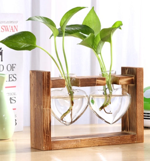 Glass Wood Vase with Wooden Tray – Hydroponic Planter & Pen Holder My Store