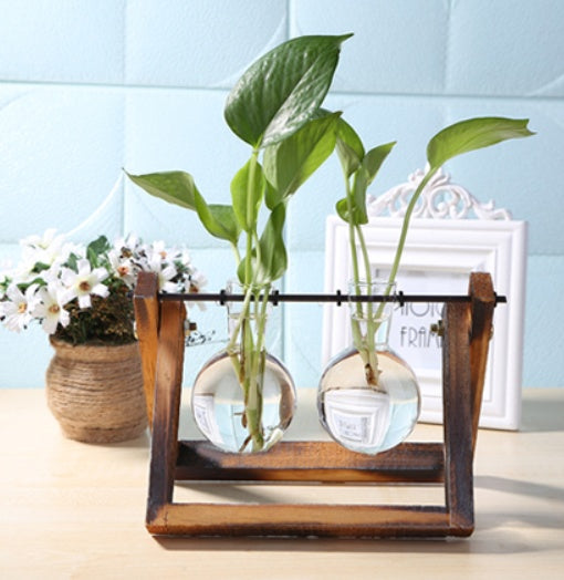 Glass Wood Vase with Wooden Tray – Hydroponic Planter & Pen Holder My Store